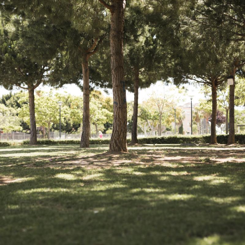 Accedé a nuestras asistencias pensadas en vos